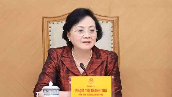 Bí thư Trung ương Đảng, Phó Thủ tướng Chính phủ Phạm Thị Thanh Trà phát biểu tại cuộc họp. (Ảnh: VGP)