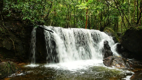 Một dòng thác trên dòng Suối Tranh với cảnh sắc thiên nhiên hữu tình.