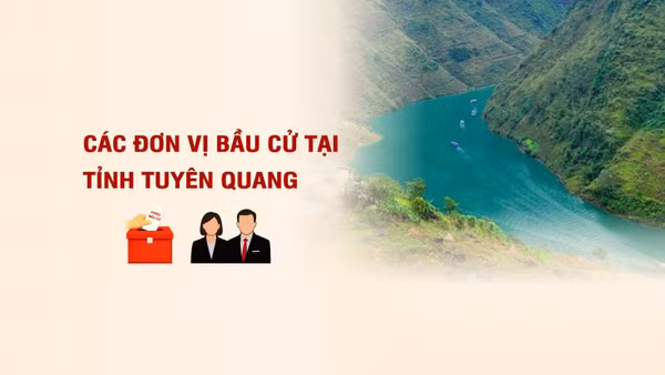 [Infographic] Các đơn vị bầu cử đại biểu Quốc hội tại tỉnh Tuyên Quang