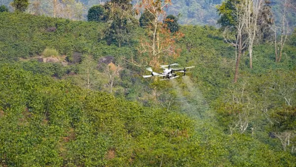UAV được thử nghiệm phun thuốc cho cây cà-phê tại xã Mường Ảng, tỉnh Điện Biên.