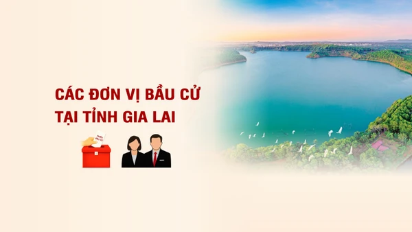 [Infographic] Các đơn vị bầu cử đại biểu Quốc hội tại tỉnh Gia Lai