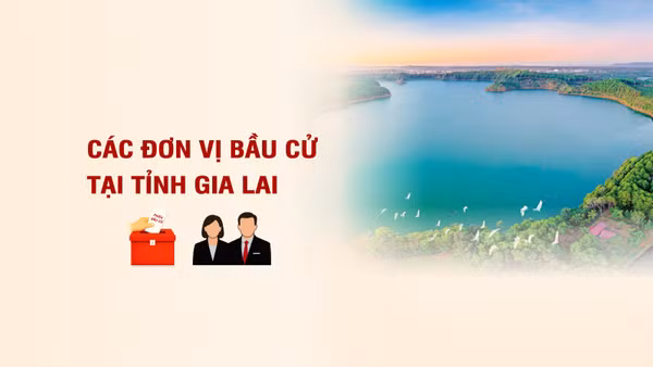 [Infographic] Các đơn vị bầu cử đại biểu Quốc hội tại tỉnh Gia Lai