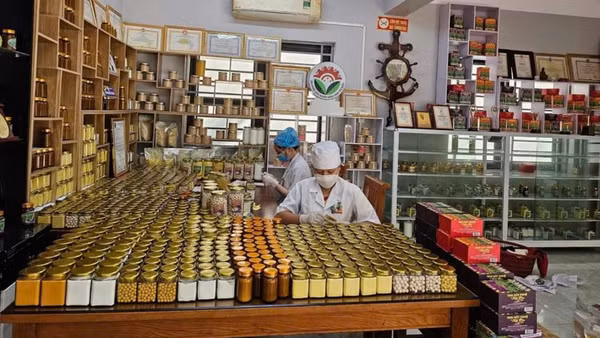 Đóng gói sản phẩm tại Hợp tác xã nông nghiệp Tân Thành. (Ảnh: TUẤN SƠN)