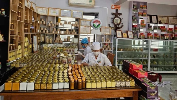 Đóng gói sản phẩm tại Hợp tác xã nông nghiệp Tân Thành. (Ảnh: TUẤN SƠN)