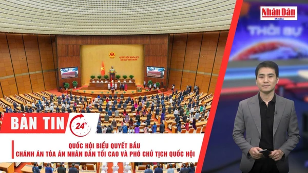 [Video] Thời sự 24h ngày 10/11/2025: Quốc hội biểu quyết bầu Chánh án Tòa án nhân dân tối cao và Phó chủ tịch Quốc hội