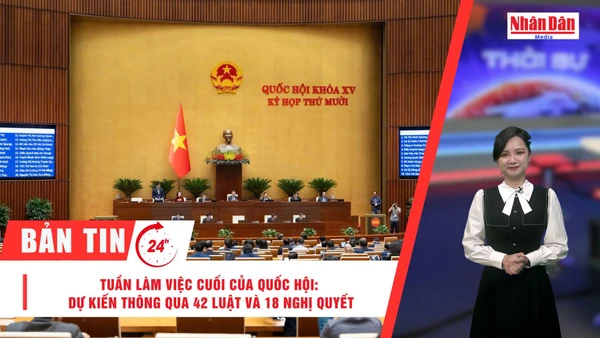 [Video] Thời sự 24h ngày 7/12/2025: Tuần làm việc cuối của Kỳ họp thứ 10, Quốc hội khoá XV: Dự kiến thông qua 42 Luật và 18 Nghị quyết 