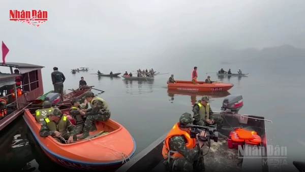 [Video] Đã tìm thấy 1 nạn nhân mất tích vụ va chạm tàu ở Lào Cai
