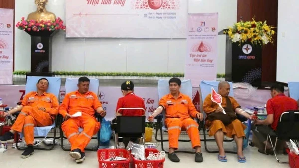 Các tình nguyện viên tham gia chương trình.