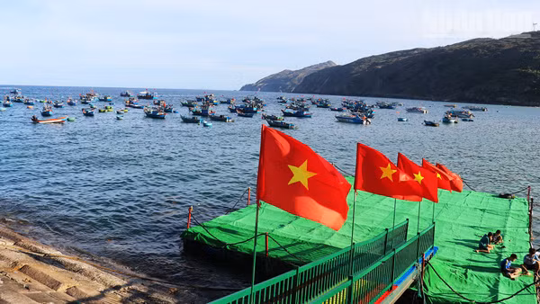 Cảng cá Nhơn Lý được tỉnh Gia Lai chọn là điểm nhấn của vùng trọng điểm du lịch biển.