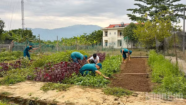 Cán bộ, chiến sĩ Ban Chỉ huy Quân sự xã Ia Tơi tích cực tăng gia sản xuất.