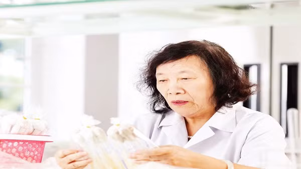 Phó Giáo sư, Tiến sĩ Nguyễn Thị Chính nghiên cứu về các loại nấm ăn, nấm dược liệu.