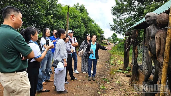 Du khách tham quan trải nghiệm, tìm hiểu về nhà mồ và tượng nhà mồ của đồng bào Jrai.