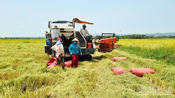 Nước tưới tiêu đến tận ruộng đồng giúp người dân có những mùa bội thu.