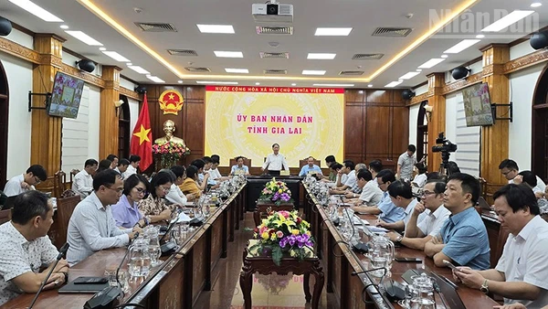 Tỉnh Gia Lai tổ chức họp khẩn ứng phó bão Kalmaegi.