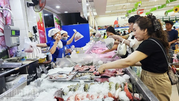 Người dân phía đông tỉnh Gia Lai chủ động tích trữ thực phẩm trước khi bão Kalmaegi đổ bộ.