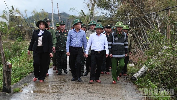 Phó Thủ tướng Lê Thành Long (áo sơ mi xanh) kiểm tra thiệt hại do thiên tai tại Gia Lai.