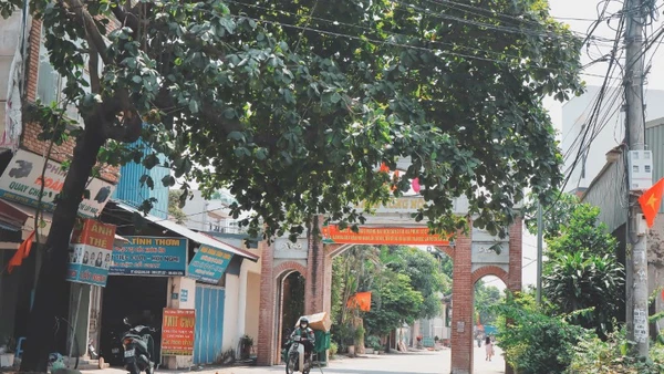 Đường làng xã Phúc Lộc (Hà Nội) khang trang, sạch đẹp. (Ảnh: NGUYỄN MAI)