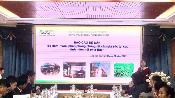 Quang cảnh tọa đàm.