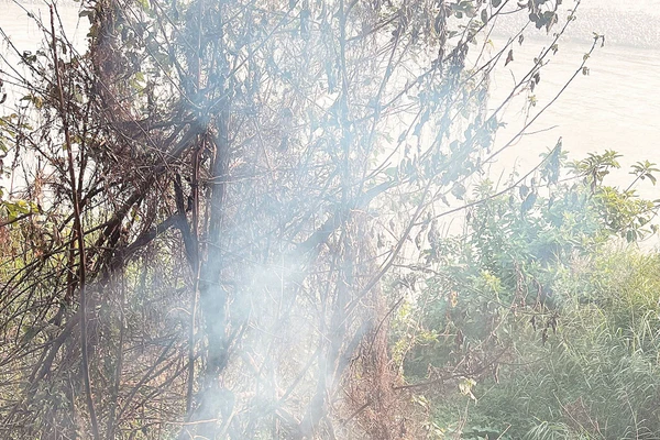 Các loại rác thải cồng kềnh bị vứt bỏ một cách tùy tiện, nhất là ở những khu vực ít người qua lại, như bờ sông...