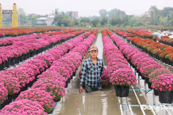 Mỗi dịp lễ, tết, Làng hoa Sa Đéc là điểm đến thu hút đông đảo du khách gần xa.