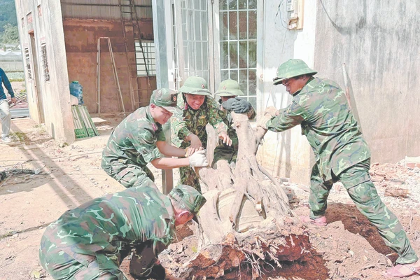 Cán bộ, chiến sĩ sửa nhà giúp dân.