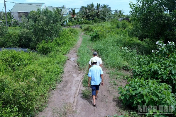 Dù đã hoàn thành xong nền đường đất 4m nhưng người dân tuyến kênh Chà Là (xã Đất Mới) chờ hoài chưa thấy đầu tư làm con lộ bê tông mới.