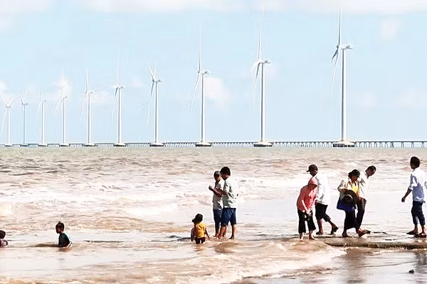 Cánh đồng điện gió - một trong những điểm thu hút khách du lịch của tỉnh Vĩnh Long.