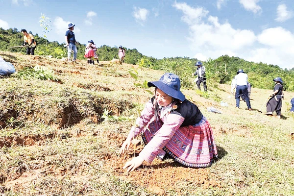 Đồng bào dân tộc ở Sơn La trồng cây phủ xanh đất trống, đồi trọc. 