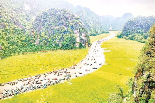 Rực rỡ Lễ hội Sắc vàng Tam Cốc 2025.