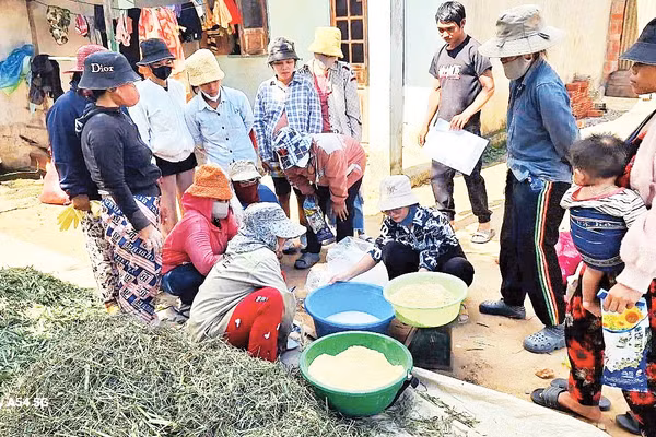 Lớp học phòng và trị bệnh cho vật nuôi.