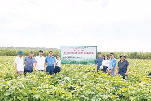 Nguyên tắc quan trọng nhất là phải tìm được đầu ra và ký kết bao tiêu sản phẩm trước khi tổ chức sản xuất. 