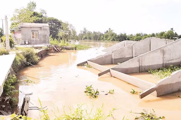 Nhiều ngôi nhà ở Đồng Tháp bị đổ sụp xuống sông do sạt lở. 
