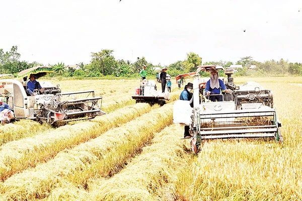 Tin Chung - Trang 1 Ứng Dụng Máy Móc Thu Hoạch Lúa Trong Vụ Hè Thu 2025 Tại Xã Mỹ Thành, Tỉnh Đồng Tháp.