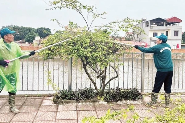 Các thành viên Câu lạc bộ “Chung tay vì sức khỏe cộng đồng” cắt tỉa cây xanh, bảo đảm an toàn trong mùa mưa bão. 