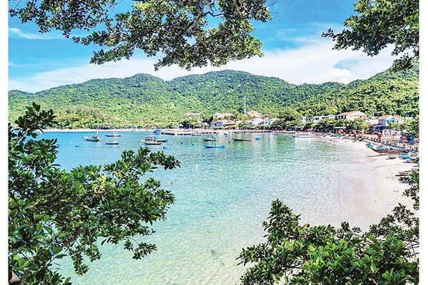 Bãi Làng - khu vực trung tâm Cù Lao Chàm. 