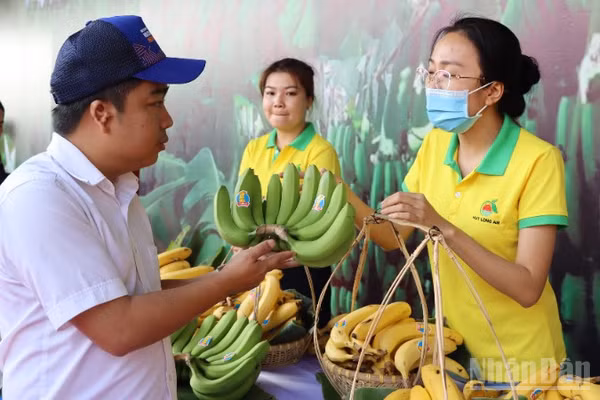 Đồng Nai được xem là thủ phủ chuối của khu vực phía nam và cả nước.