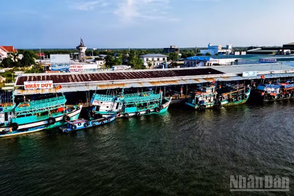 Với chính sách mới vừa ban hành, ngư dân Cà Mau được hỗ trợ 100% chi phí cước thuê bao hằng tháng trên thiết bị VMS đến hết năm 2028.