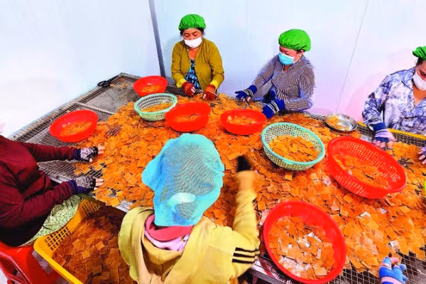 Sự chuyển mình của làng nghề thể hiện qua những dây chuyền khép kín, hiện đại tại Công ty Vĩnh Tài. Mỗi ngày, đơn vị này cung ứng ra thị trường hơn một tấn bánh thành phẩm.