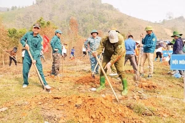 Cán bộ, chiến sĩ và nhân dân bản Pá Liếng, xã Mường Ảng, tỉnh Điện Biên ra quân đào hố trồng cây cà-phê, mắc-ca theo chủ trương chuyển đổi cơ cấu cây trồng đã được Ban Chấp hành Đảng bộ tỉnh Điện Biên khóa XV xác định.