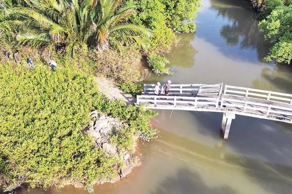 Cây cầu dân sinh được xây dựng ở khu vực Lộ Tẻ đã lâu nhưng không đường dẫn, không có móng kiên cố nằm giữa đồng không mông quạnh.