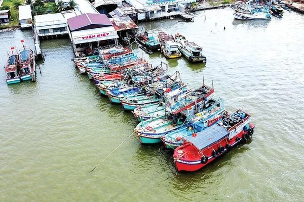 Cảng cá Sông Đốc những ngày giáp Tết Nguyên đán nhộn nhịp tàu khai thác vào bờ bán sản phẩm, kết thúc chuyến biển cuối năm thắng lợi.