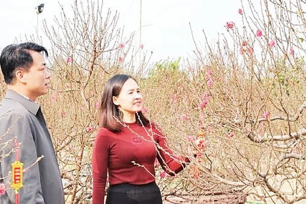 Người dân tham quan Chợ hoa Xuân tại xã Phú Nghĩa.