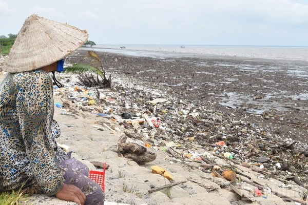 Nhiều khu vực ở đê biển Gò Công (tỉnh Đồng Tháp) bị sạt lở và cần đầu tư khẩn cấp.