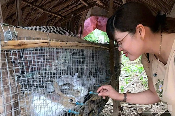 Thay vì cho "con cá", chiến lược mới của Cà Mau là "trao cần câu" để người dân có sinh kế thoát nghèo bền vững.