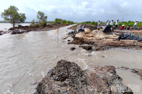 Hậu đất đất canh tác của người dân khu vực Trảng Tràm 1 bị sóng dữ gây sạt lở, làm thất thoát thủy sản trong vuông tôm.