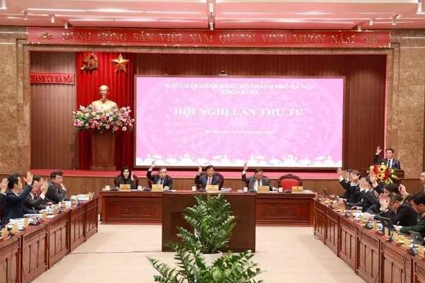 Các đại biểu biểu quyết thông qua chương trình Hội nghị.