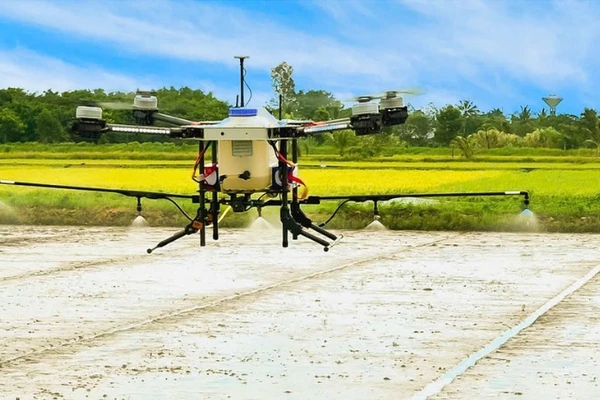 Nông dân Cần Thơ sử dụng máy bay không người lái (drone) phun xịt phân, thuốc trên cánh đồng lúa chất lượng cao. 