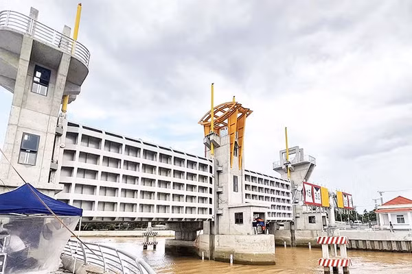 Dự án Hạ tầng thiết yếu hỗ trợ phát triển vùng cây ăn trái hoa kiểng khu vực Mỏ Cày Bắc và Chợ Lách vừa hoàn thành đưa vào sử dụng.