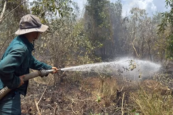 Lực lượng chức năng nỗ lực chữa cháy rừng tại khu vực Lâm trường Vĩnh Lợi.