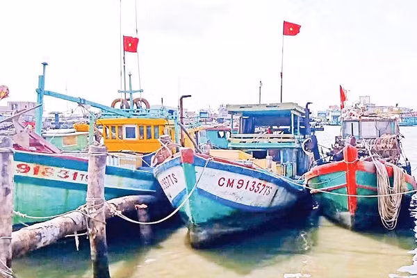 Đội tàu cá đánh bắt hải sản vùng ven biển thành phố Cần Thơ.